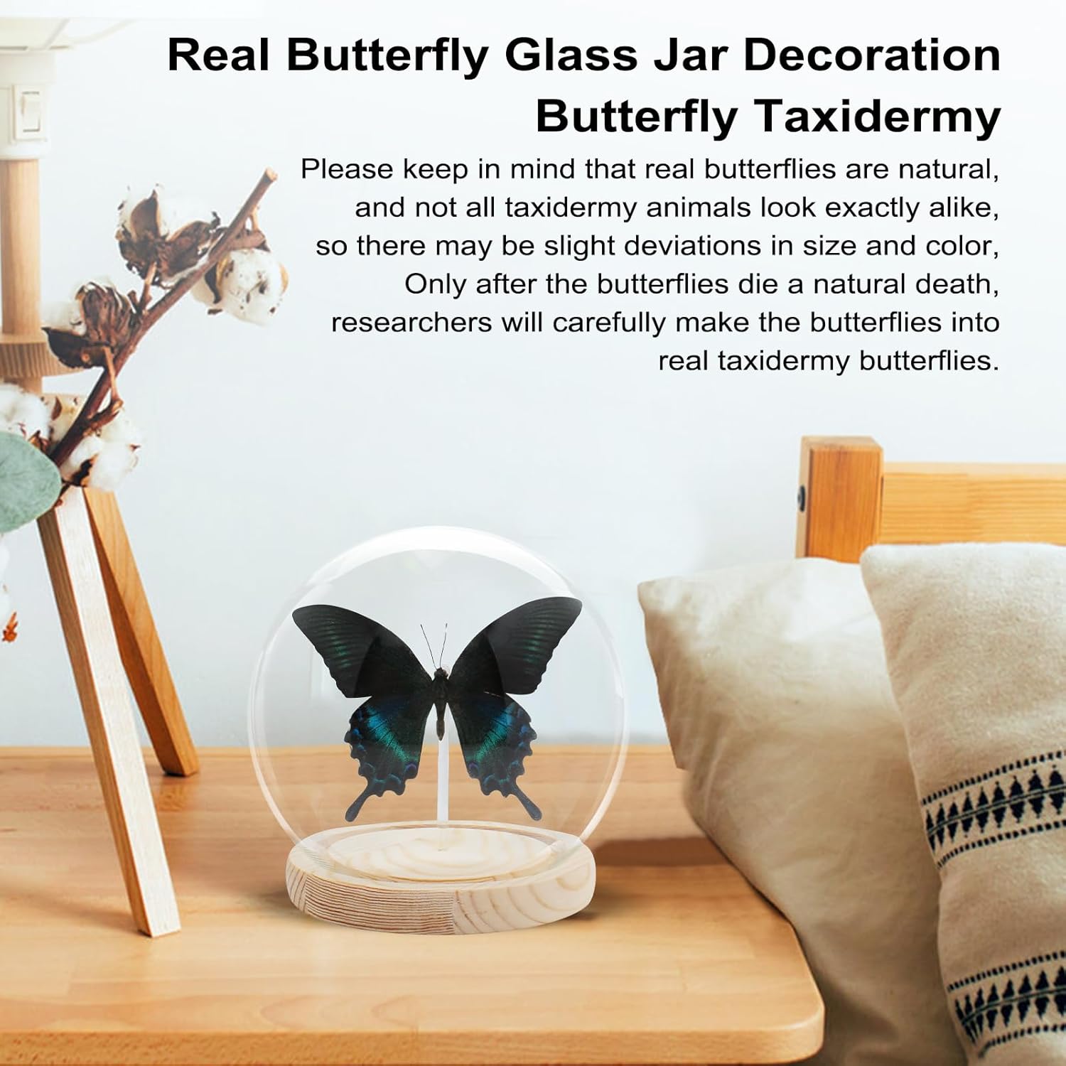 英 一蝶 絹本 彩色画 【 猩々図 】 落款印譜は《趣在山雲泉石間》